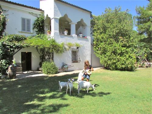 Agriturismo Borgo Madonna degli Angeli - charming cottages in the gardens ! - Hotel - Tocco da Casauria