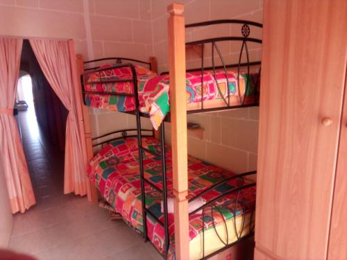 Coral Reef Flat 7 - image 6