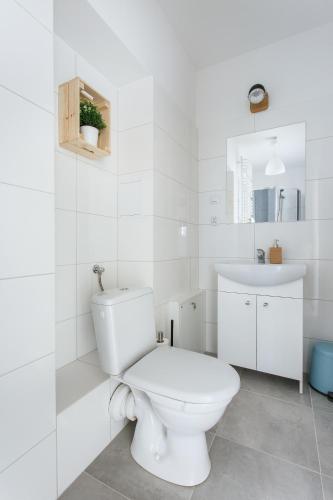 Apartamenty Krakowskie 36 Lublin - Single Two - image 8