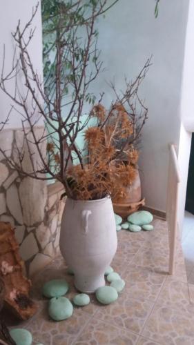Eleni Studios, Agios Nikolaos (foto 5)