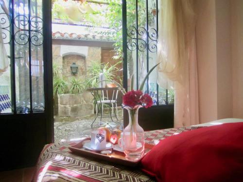 Patio Granada, Гранада (фото 2)