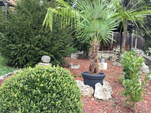 Pension Am Kirschberg Pension Am Kirschberg