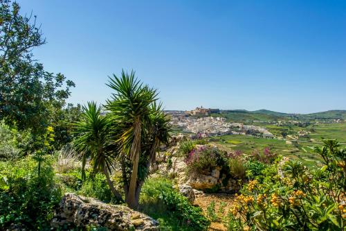 Panorama, Xagħra (zdjęcie 6)