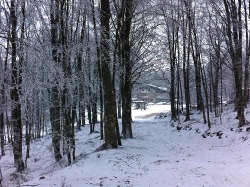 Albergo Generale Cantore - Monte Amiata - image 5