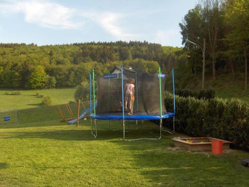 Schweizes Ferienhof - image 5