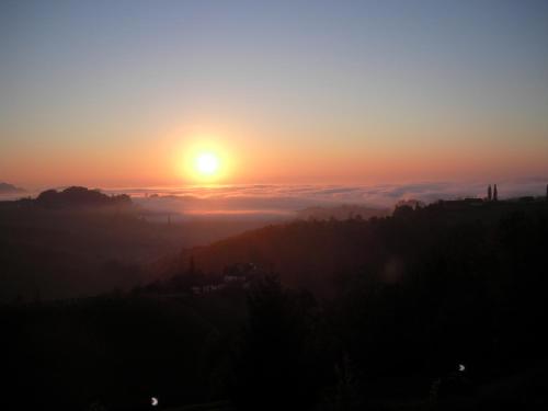Samenkönig Pschait Handels GmbH - image 3