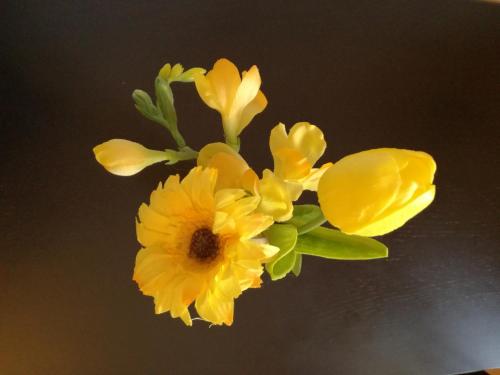 The Yellow House - image 4