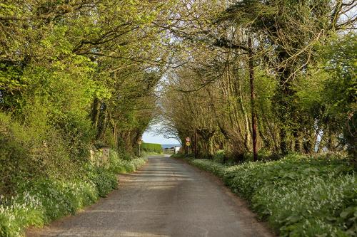 The Moat on the Greenway, Dungarvan (fotografie 4)