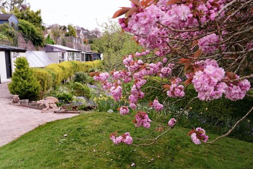 Gabriel House Guesthouse - image 4