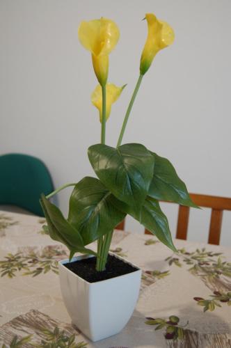Appartamenti Donato - main image