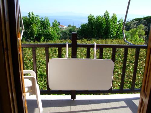 Pansion Platana Pansion Platana