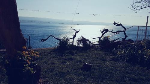 Apartments Coko – Omis, MD