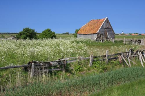 't lant van Texsel - image 6
