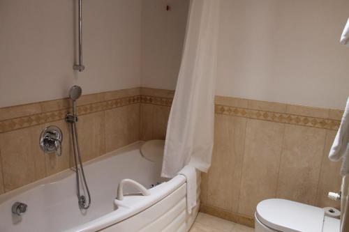 One-Bedroom Apartment image 8