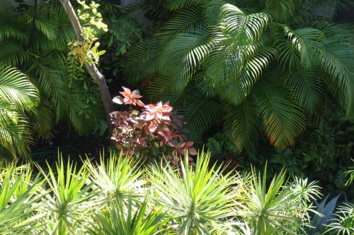 El Patio Motel – Key West, FL