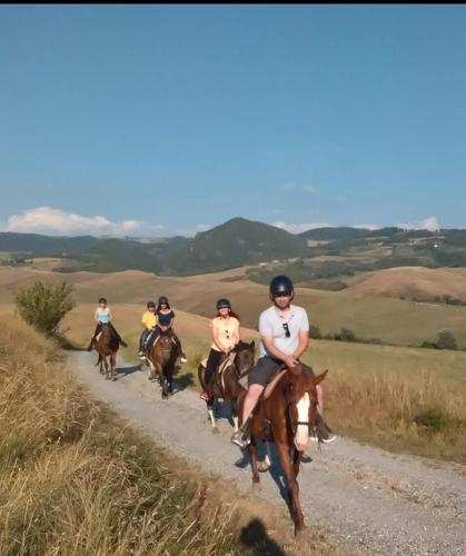 Agrihotel Il Palagetto