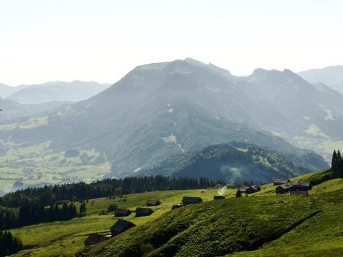 Hirschen Schwarzenberg Bregenzerwald