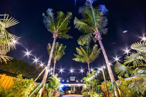 Siesta Key Palms Resort in Sarasota, USA