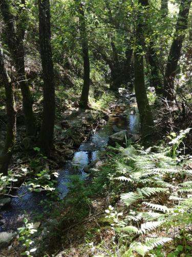 Programlehetőségek, Casa Rural Aya II in Linares De La Sierra