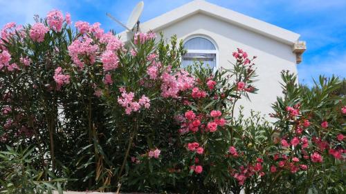  Apartments Podlesek, Ferienwohnung in Vir