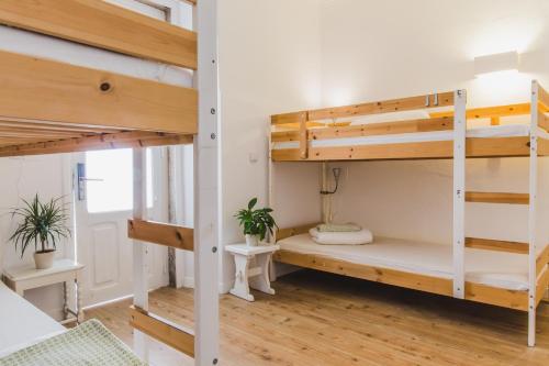 Amar Hostel & Suites - image 13