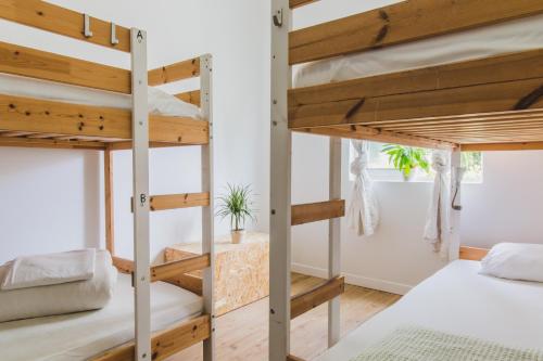 Amar Hostel & Suites - image 5