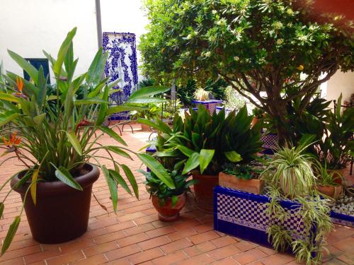 Hotel Sant Jaume - image 2