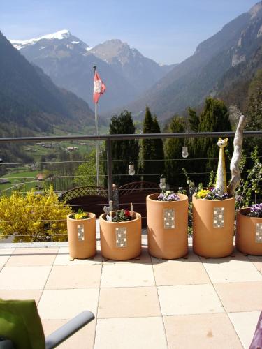 Surrounding environment, Hotel Stalden in Lutschental