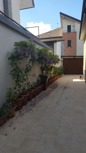 Monteceneri 9 B&b - 정원