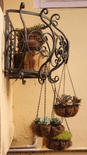 Pine Castle In India - 