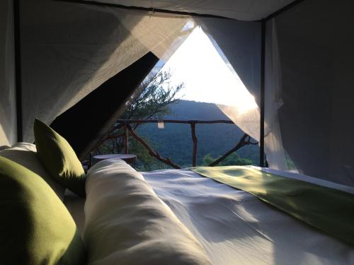 Säng, Pembeni Rhotia in Ngorongoro