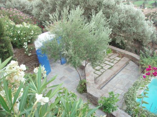 Anezas Mansion stone-built traditional villa, Andros (zdjęcie 2)