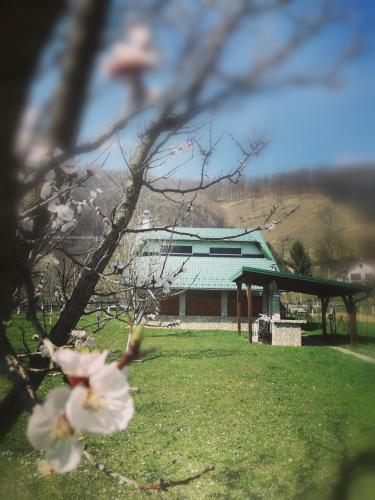 Mila Holiday Home - main image