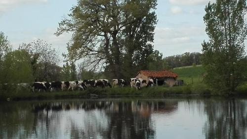 Charmante maison à la ferme