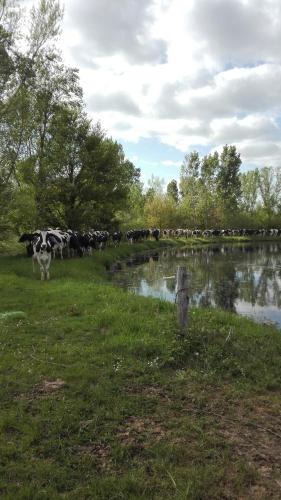 Charmante maison à la ferme