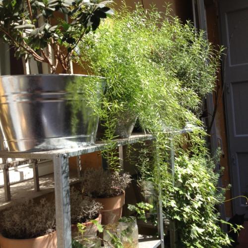 Mars41 B&B - image 9