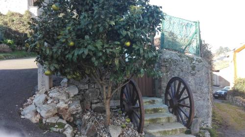 Apartamentos Santana - image 12