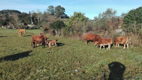 Cerca de lugares turísticos, Apartamentos Santana in Llanes