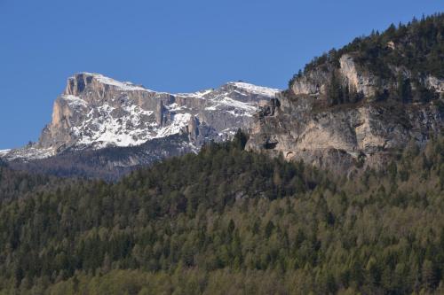 Hotel Villa Gaia - image 13