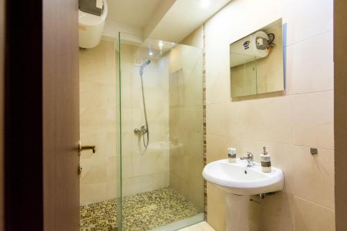 One-Bedroom Apartment image 4