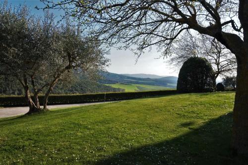 Relais CastelBigozzi - image 9