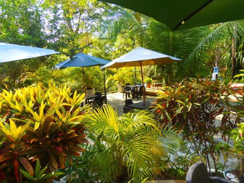 Kert, Casa del Sol Bed and Breakfast in Contadora