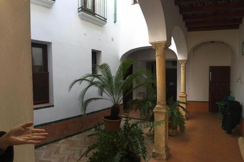 Apartamentos La Hoguera, Kordoba (zdjęcie 11)