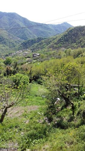 . Albergo Caprile