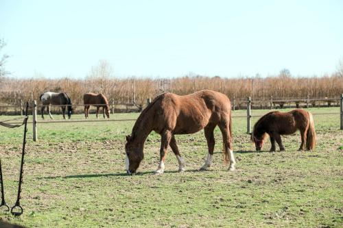 Ca' Ciaran - image 7