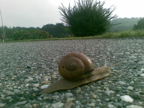 Biohof Koller Biohof Koller