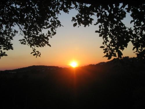 Biohof Koller Biohof Koller