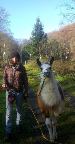 Biohof Koller Biohof Koller