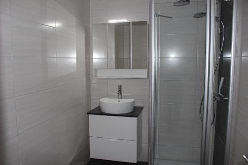 One-Bedroom Apartment image 1