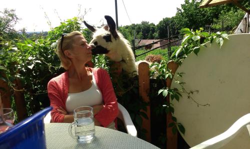 Biohof Koller Biohof Koller